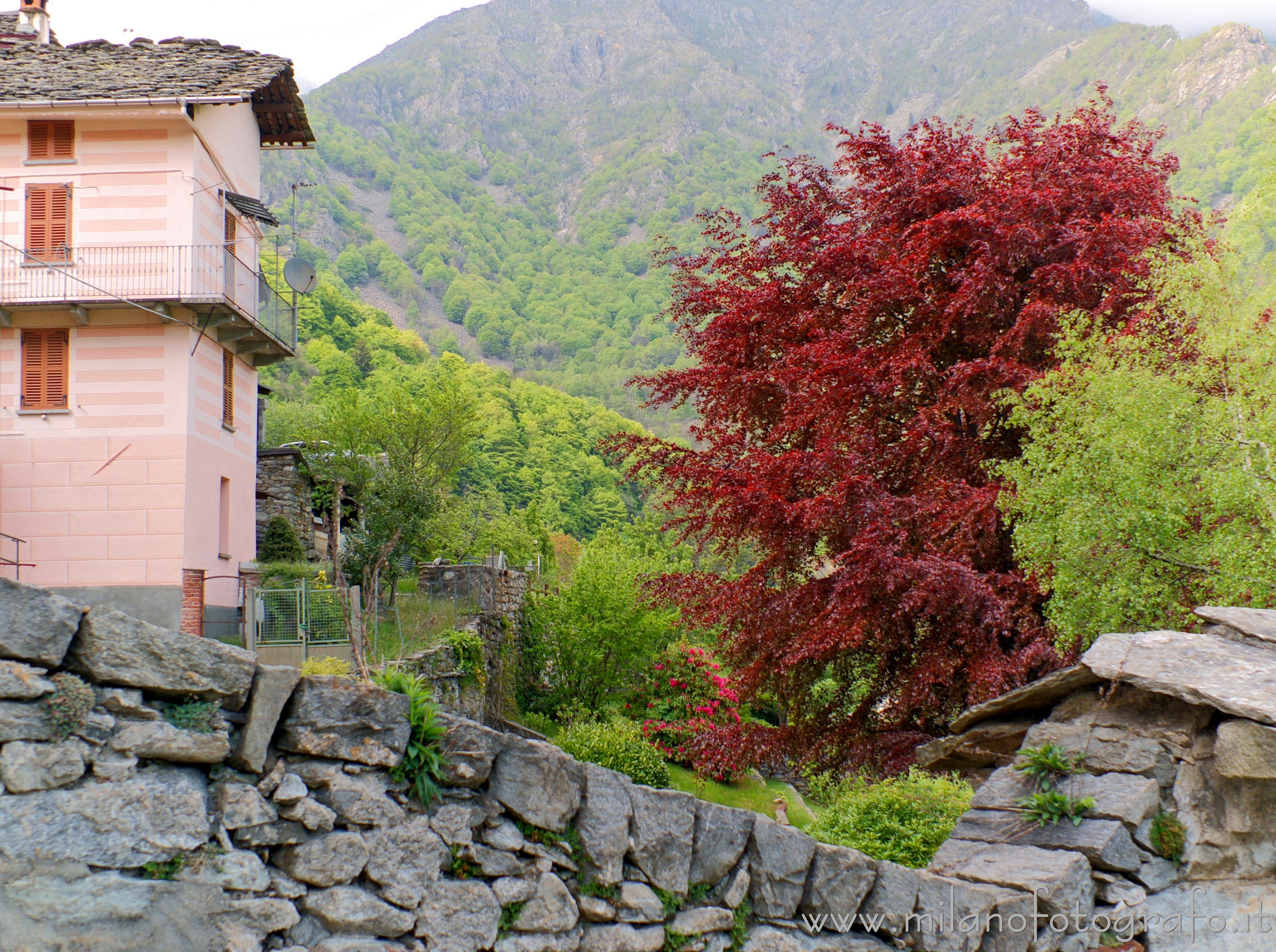 Piedicavallo (Biella) - Colori della tarda primavera nella frazione Montesinaro
